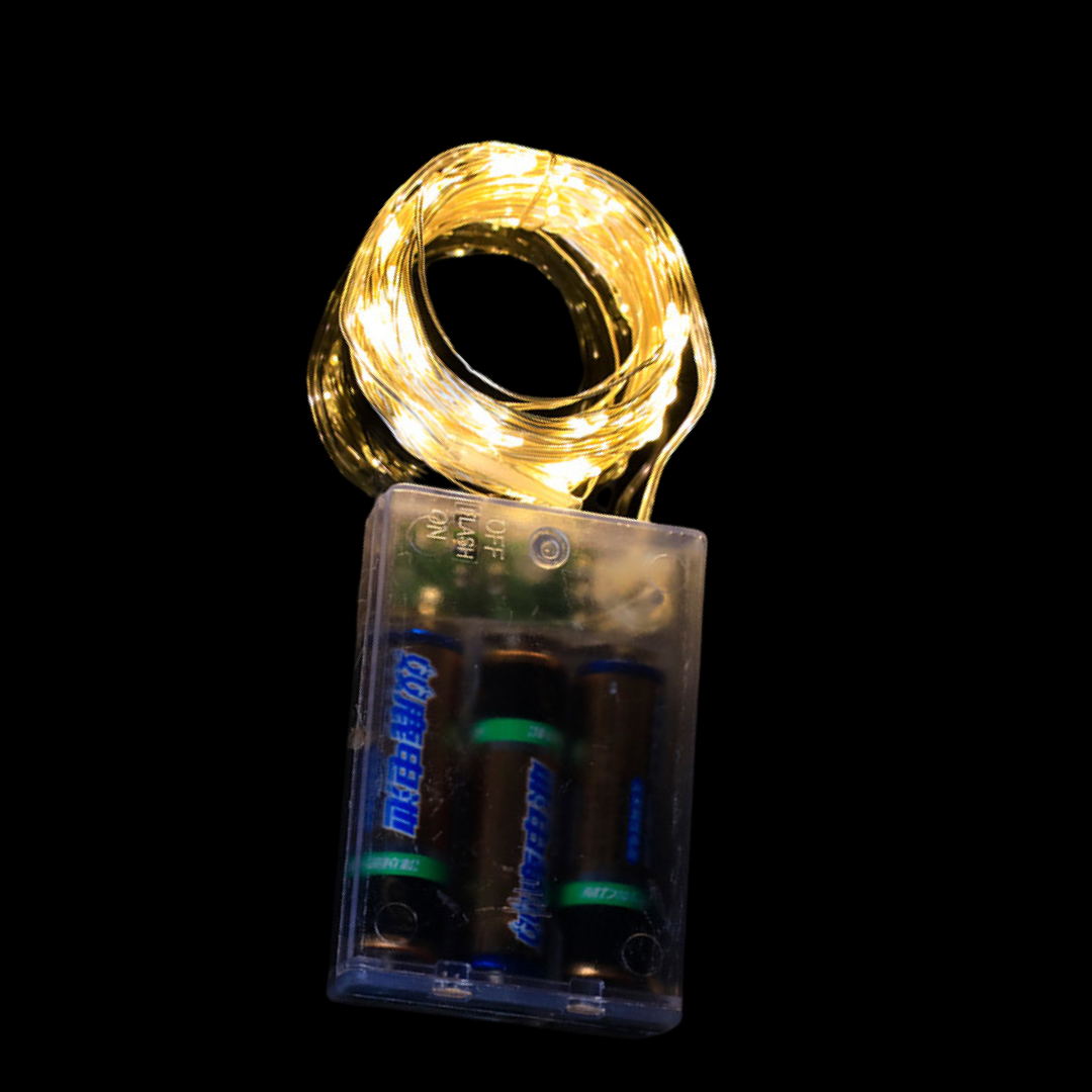 Seed Lights